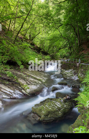 Der fluß Breggia in der Mühle, Bruzella Muggiotal, Mendrisio Bezirk, Kanton Tessin, Schweiz. Stockfoto
