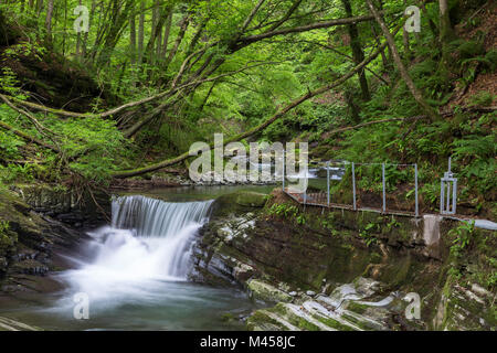 Der fluß Breggia in der Mühle, Bruzella Muggiotal, Mendrisio Bezirk, Kanton Tessin, Schweiz. Stockfoto