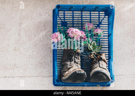 Kreative Komposition mit rosa gefärbten Blüten in ein Paar Schuhe Stockfoto