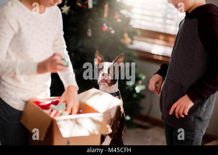 Bruder und Schwester, Weihnachtsschmuck Stockfoto