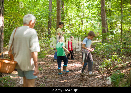 Großvater und Enkel Pilzsuche im Wald, Prievidza, Banska Bystrica, Slowakische Republik Stockfoto