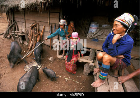 Laos. (In der Nähe von Luang Namtha Muang Sing). Hakha oder Akha Hill Tribe. Frauen und Kinder vor ihrem Haus. Fütterung von Schweinen. Stockfoto