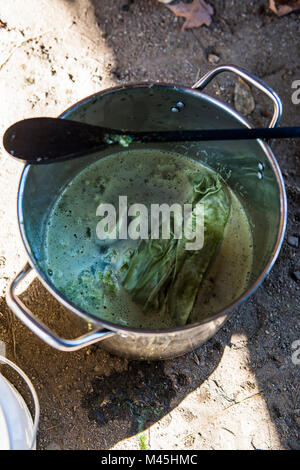 Frische Indigo Mwst. Farbstoff Stockfoto