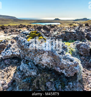 Selton Vulkangestein malerische Aussicht Island Stockfoto