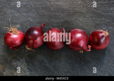 Rote Zwiebeln in einer Linie auf dunklem Schiefer table top Stockfoto