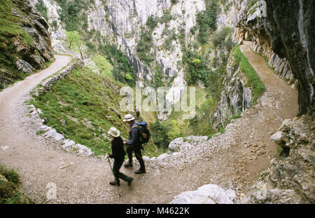 Garganta del Cares aka Cares Schlucht in den Picos de Europa in Spanien Stockfoto