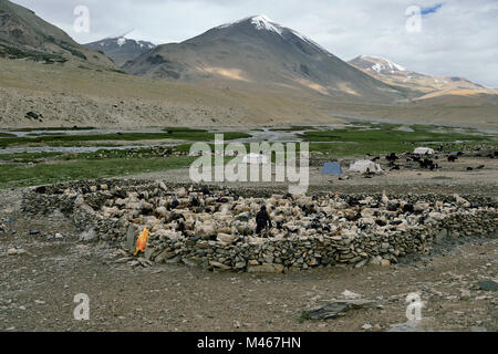 Zuflucht der Changpa sind ein semi-nomadischen Tibeter vor allem in dem Changtang in Ladakh und in Jammu und Kaschmir. Indien Stockfoto