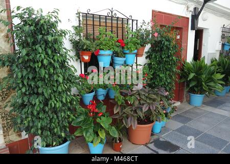 Eingemachte Blumen vor einem Haus. Andalusien Stockfoto