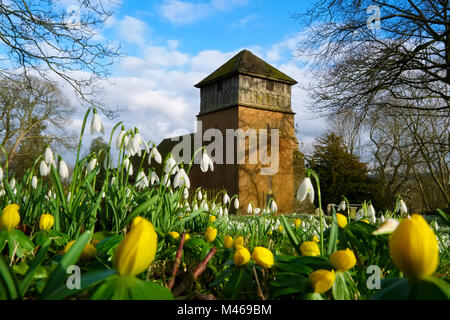 Schneeglöckchen und Winter aconites auf dem Friedhof in Shipton, Shropshire, England, Großbritannien Stockfoto