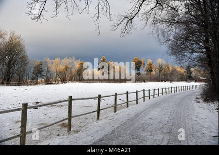 Eis und Schnee auf einem Feldweg. Pferde und Frost bedeckt, sonnendurchfluteten Bäume im Hintergrund. Friedliche Winterlandschaft mit eingezäunten Koppel in Norwegen. Stockfoto