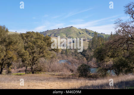 Friedliche Szene entlang der American River in Kalifornien, USA. Hinweis des Flusses zwischen den Bäumen mit steilen Gras bedeckte Hügel hinter sich. Stockfoto