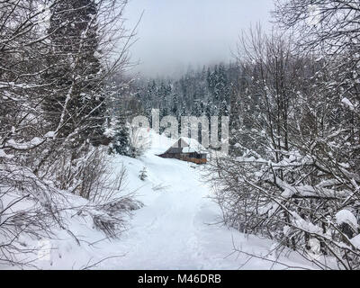 Winterlandschaft in der Nadelwald. Verlassenen alten Holzhaus, Hütte der Förster an einem verschneiten Wiese in der Karpaten in der Ukraine, in den nebligen Wetter Stockfoto
