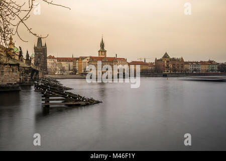 Winter Blick von Kampa auf der Karlsbrücke in Prag, Tschechische Republik Stockfoto