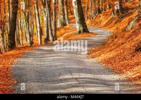 Herbst Straße, Intelvi Tal, in der Provinz Como, Lombardei, Italien, Europa Stockfoto