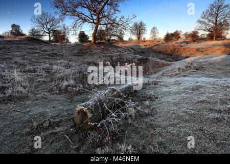 Winter Frostige Dämmerung, Barnack Hügel N Löcher, SSSI, Barnack Dorf, Cambridgeshire, England, Großbritannien Stockfoto