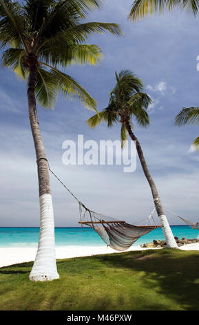 Hängematte zwischen Palmen, karibischen Strand, Niederländische Antillen, Auba Stockfoto
