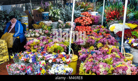 Südafrika Kapstadt Cape Malay Blume Verkäufer Adderley Street Blumenmarkt Stockfoto