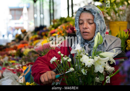 Südafrika Kapstadt Cape Malay Blume Verkäufer Adderley Street Blumenmarkt Stockfoto