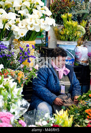 Südafrika Kapstadt Cape Malay Blume Verkäufer Adderley Street Blumenmarkt Stockfoto