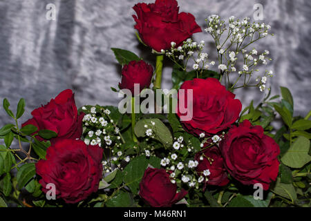 Ein Foto von einem Strauß roter Rosen mit kleinen weissen Babys Atem Blumen vermischt, mit grünem Laub. Auf Valentinstag genommen Stockfoto