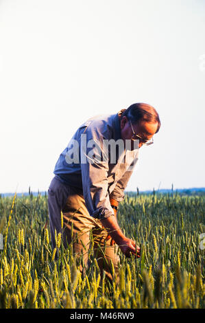 Senator Sam Nunn auf seinem Bauernhof der Familie in Perry, Georgia USA Stockfoto