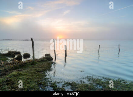 Sonnenaufgang über überfüllt Vorratsbehälter auf Bodmin Moor Stockfoto