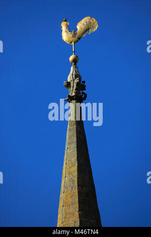 Weathervane auf St Benedicts Kirche, Glinton Dorf, Cambridgeshire, England, Großbritannien Stockfoto