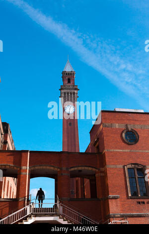 Joseph Chamberlain Memorial Clock Tower, Birmingham - 11. November 2016 Stockfoto