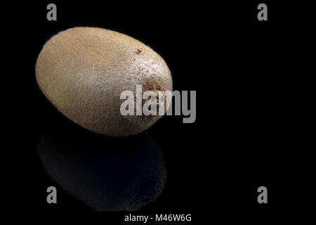 Kiwi auf schwarzem Hintergrund. Stockfoto