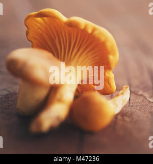 Pfifferlinge auf Holztisch Stockfoto