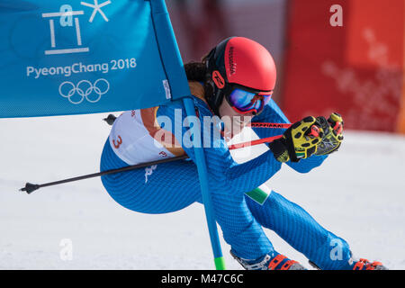 Pyeongchang, Südkorea. 15 Feb, 2018. Federica Brignone aus Italien konkurriert bei Giant slalom der Frauen des alpinen Skisports in Pyeongchang 2018 Winter-olympischen Spiele in Yongpyong Alpine Center, Pyeongchang, Südkorea, Jan. 15, 2018. Federica Brignone behauptet dritten Platz in einer Zeit von 2:30,48. Credit: Wu Zhuang/Xinhua/Alamy leben Nachrichten Stockfoto