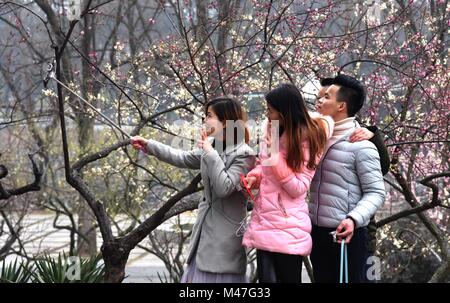 Wuhan, Hubei Provinz Chinas. 15 Feb, 2018. Touristische nehmen mit dem selfies wintersweet Blumen an Donghu Park in Wuhan, Zentralchina Provinz Hubei, Feb 15, 2018. Credit: Cheng Min/Xinhua/Alamy leben Nachrichten Stockfoto