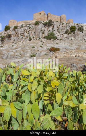 Hohe kalkige Felsen von Schloss von Belmez mit PRICKLY-pear Cactus, Cordoba, Spanien Stockfoto