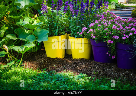 Schöne Blumen Töpfe stehen in den Garten, Nahaufnahme Stockfoto