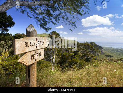 Fahrtrichtungsanzeiger auf der Straße in den Wald. Mauritius. Stockfoto