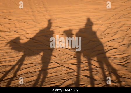 Kamel Schatten auf Wüste Sahara sand in Marokko. Stockfoto