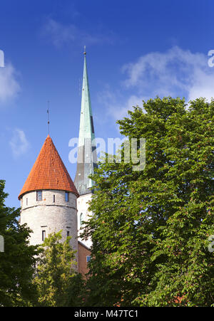 Spike von St. Olaf (oleviste) Kirche und Turm. Tallinn Stockfoto