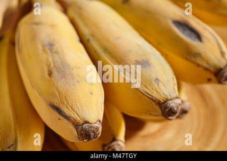 Ein Bündel von Thai Bananen Stockfoto