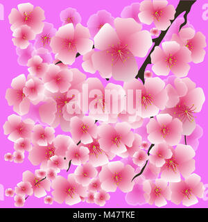 Frühling rosa Blumen auf rosa Hintergrund isoliert. Stockfoto