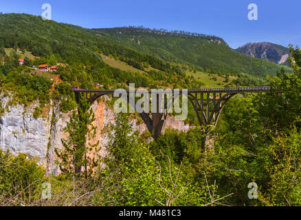 Brücke Durdevica in Fluss Tara-Schlucht - Montenegro Stockfoto