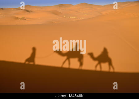 Kamel Schatten auf Wüste Sahara sand in Marokko. Stockfoto