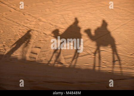 Kamel Schatten auf Wüste Sahara sand in Marokko. Stockfoto