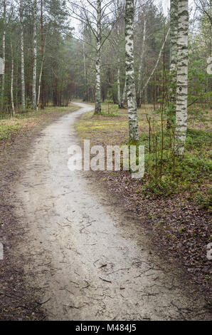 Neblig Frühlingslandschaft mit Wanderweg im Wald Stockfoto