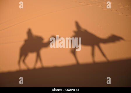 Kamel Schatten auf Wüste Sahara sand in Marokko. Stockfoto