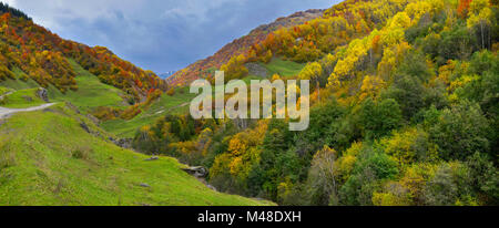 Die Berge mit dem Herbst Wald auf Rasen bedeckt sind Kühe grasten. Laub bunte, helle Farben Stockfoto