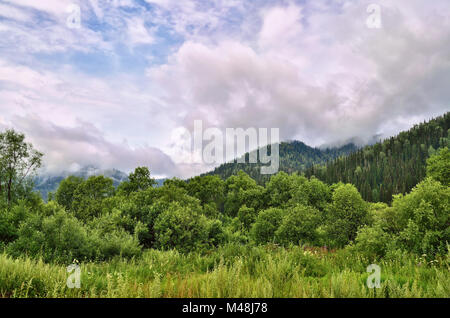 Sommer Landschaft in den Bergen mit schönen niedrigen Wolken Stockfoto