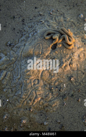 Schlag lug im Wattenmeer / St. Peter Ording Stockfoto