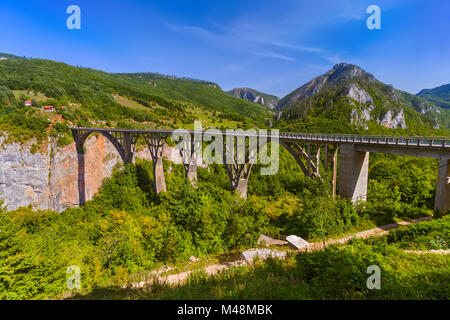 Brücke Durdevica in Fluss Tara-Schlucht - Montenegro Stockfoto