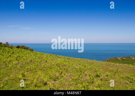 Küstenlandschaft in der Nähe der Teufel Hole, Jersey, Channel Islands, Großbritannien Stockfoto