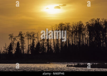 Sonnenuntergang am See Astotin/Elk Island National Park Stockfoto